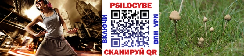 Купить закладки  Жигулёвск  Псилоцибиновые грибы мицелий 